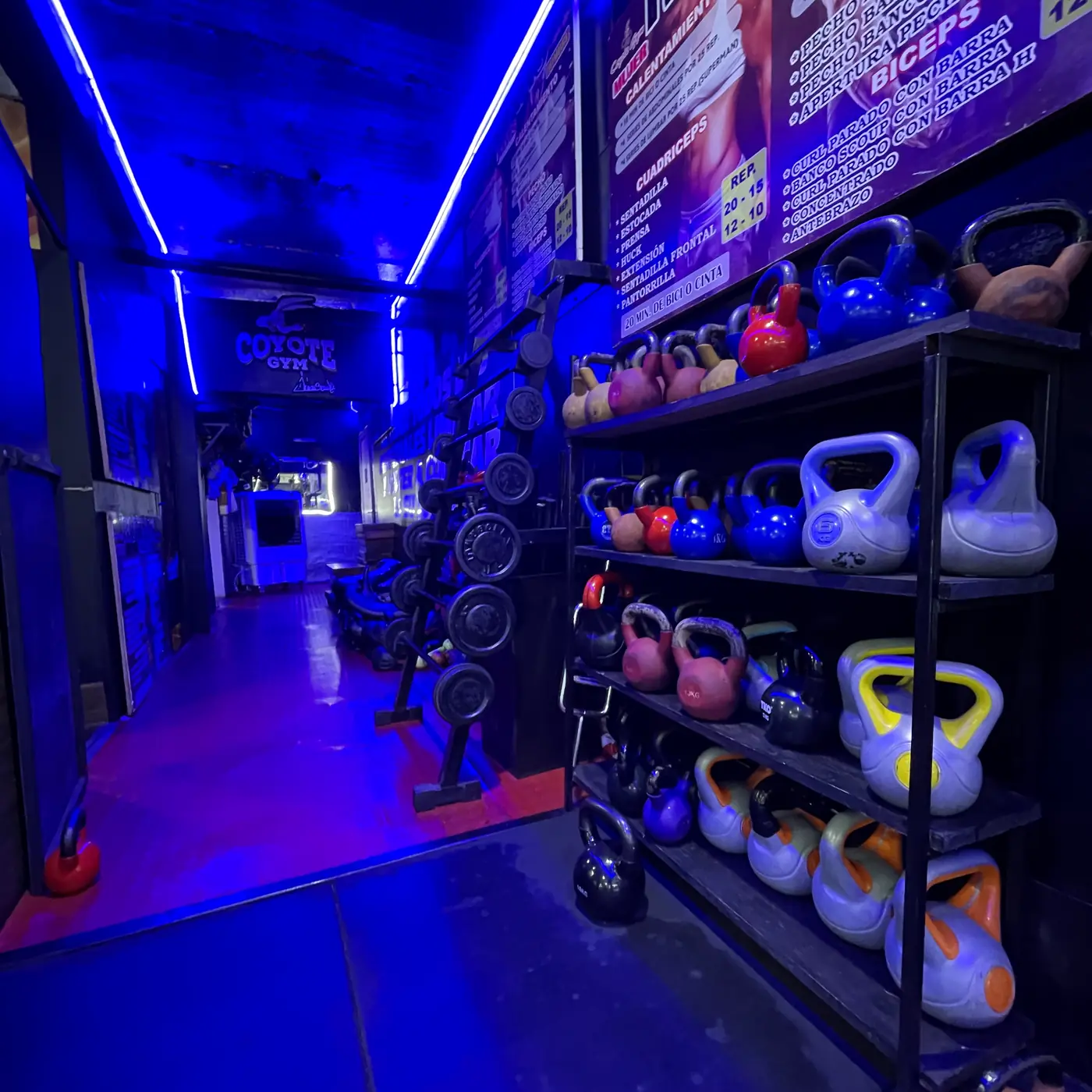 Estante de pesas rusas y pasillo con el cartel de Coyote Gym